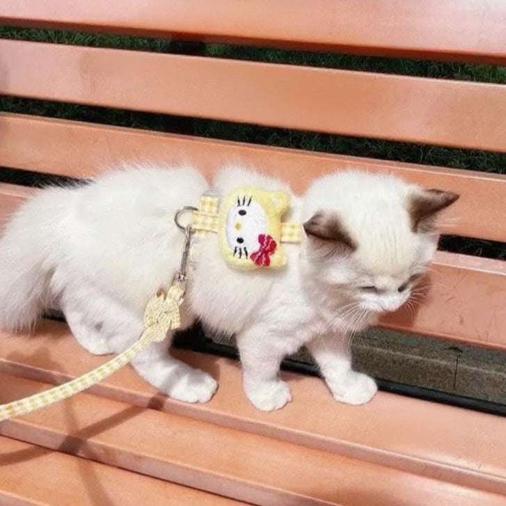 Puppy and cat leash