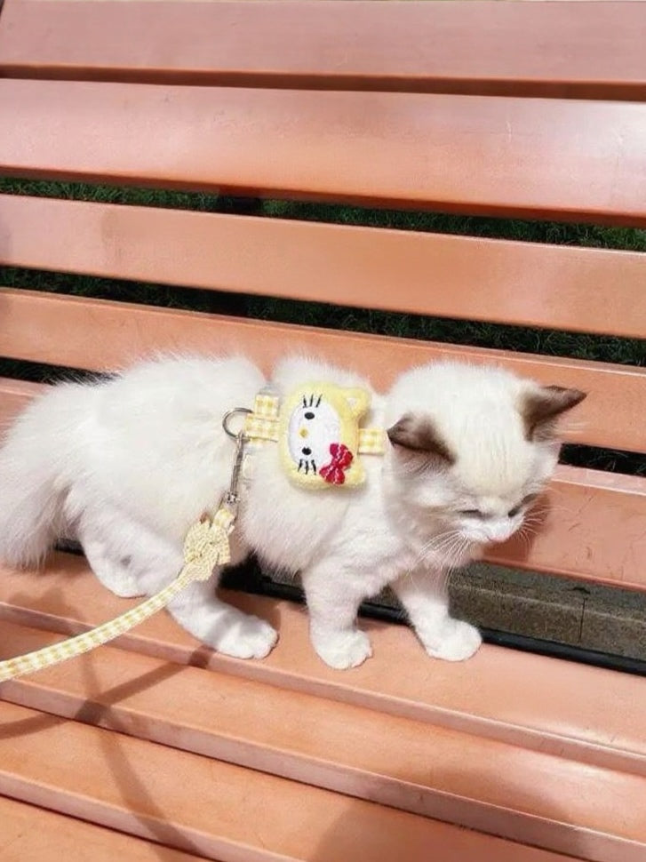 Puppy and cat leash