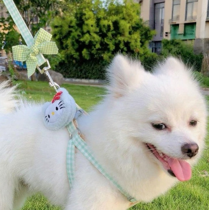 Puppy and cat leash