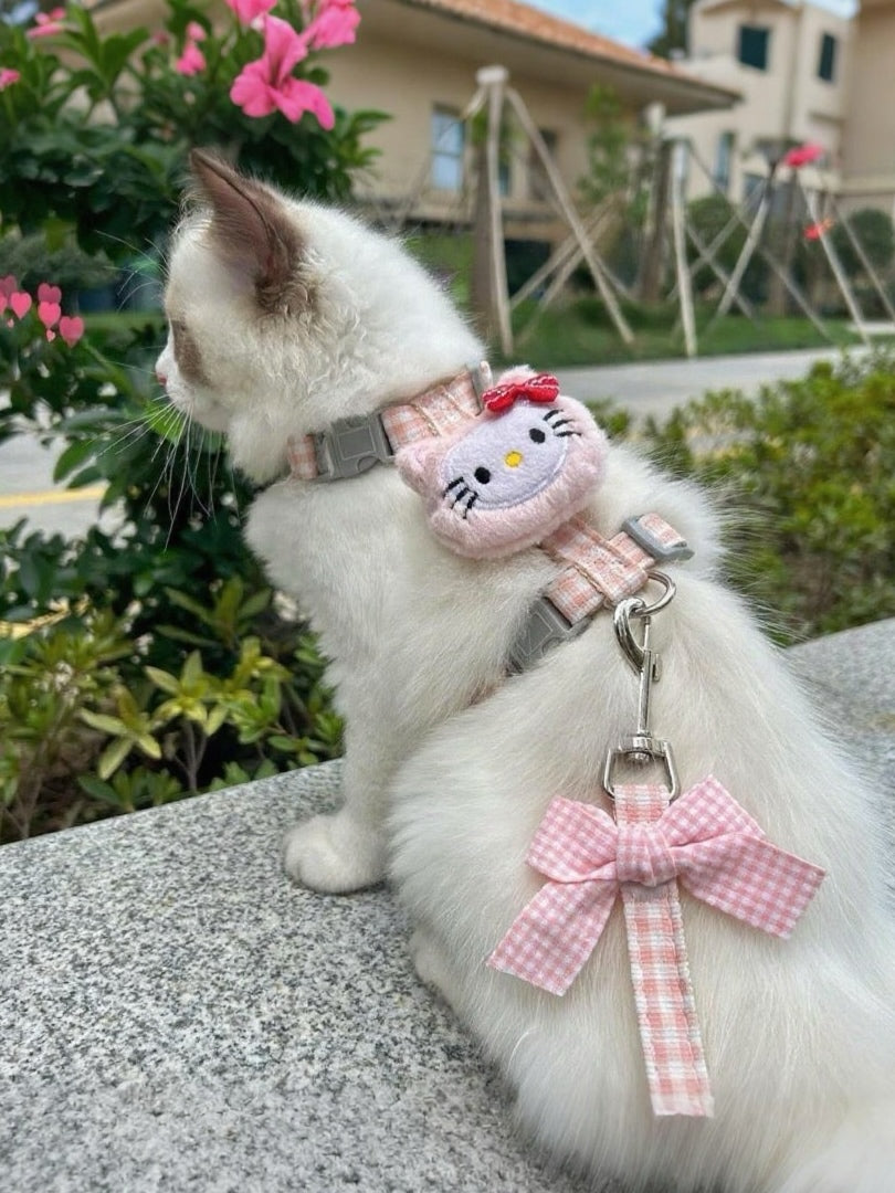Puppy and cat leash