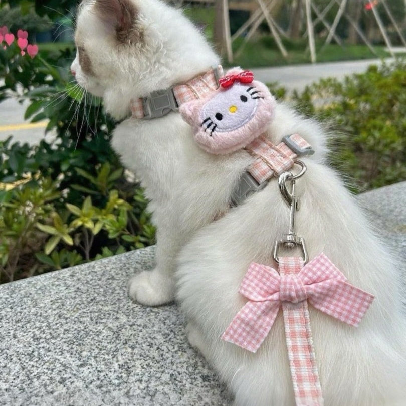 Puppy and cat leash