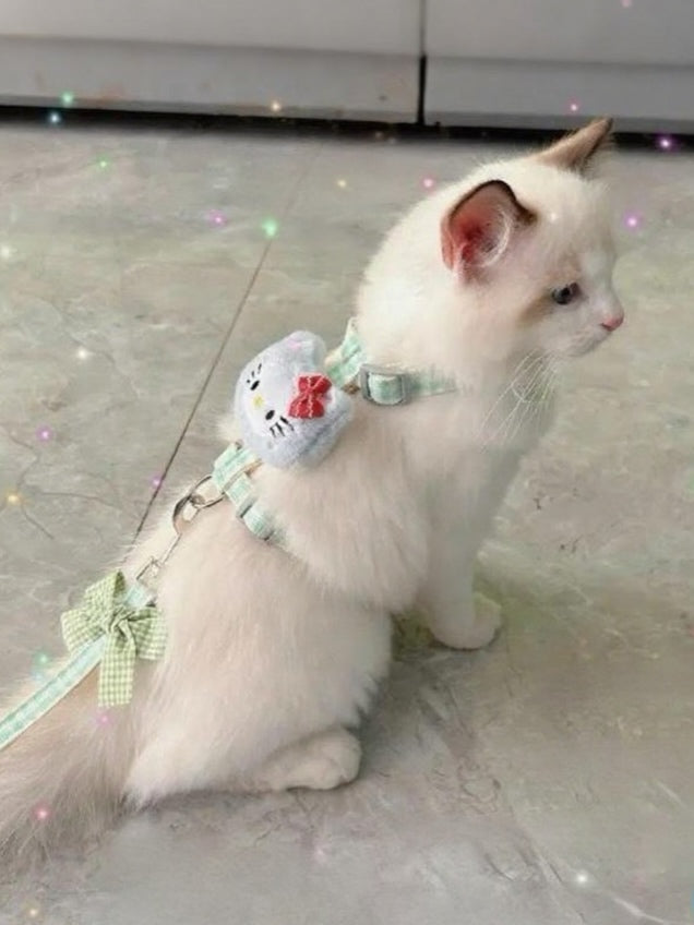 Puppy and cat leash