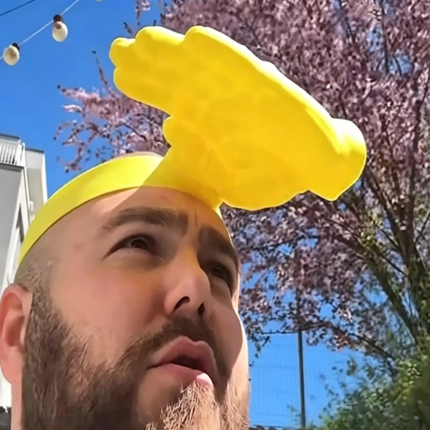 Hand-held sun hat