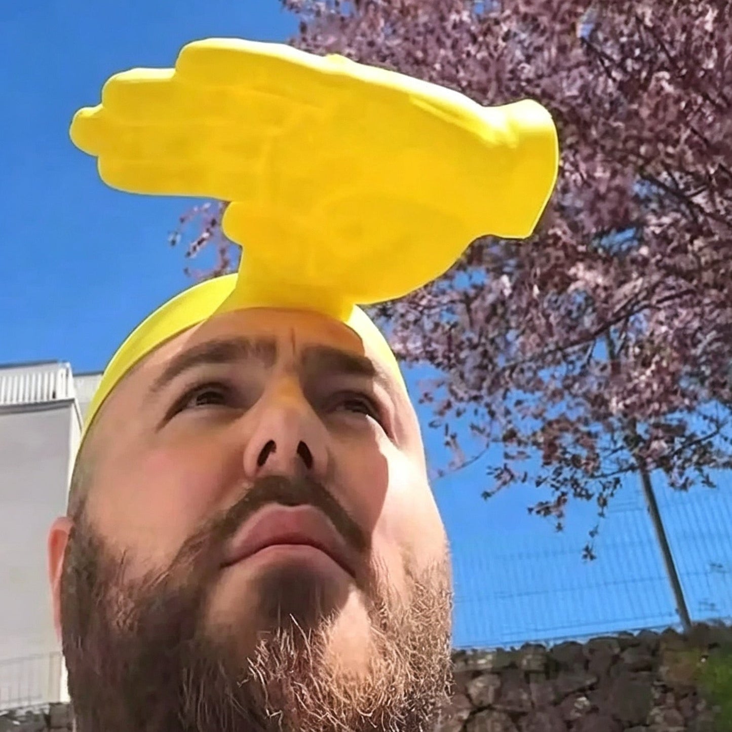 Hand-held sun hat