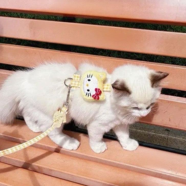 Puppy and cat leash
