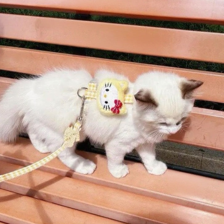 Puppy and cat leash
