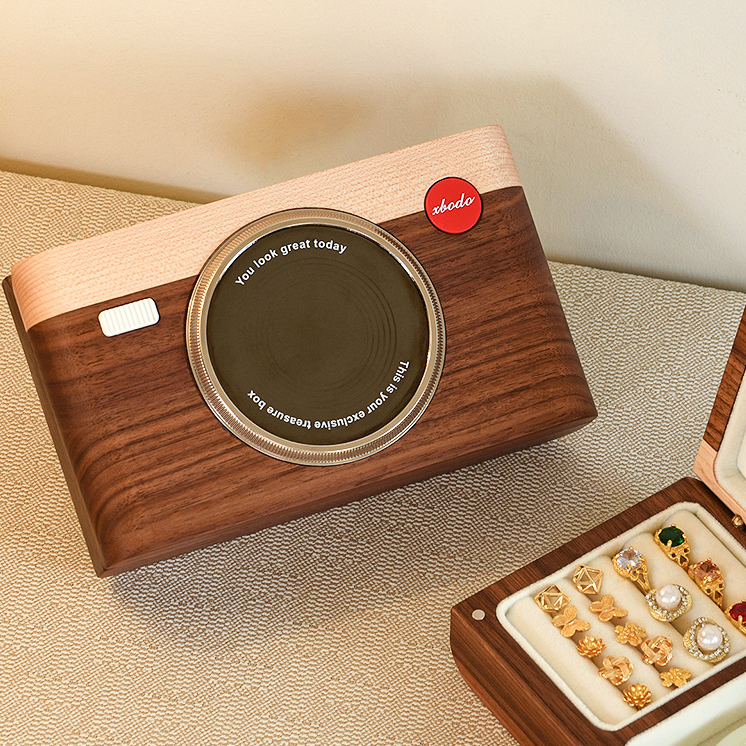 Camera accessories storage box