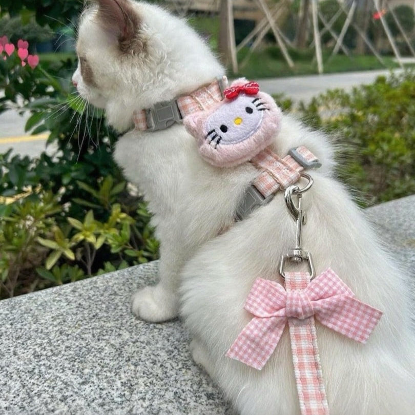 Puppy and cat leash