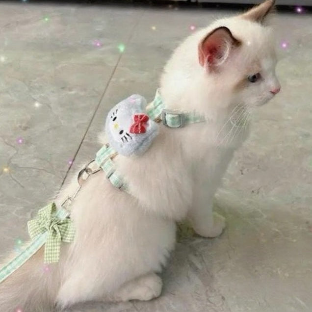 Puppy and cat leash