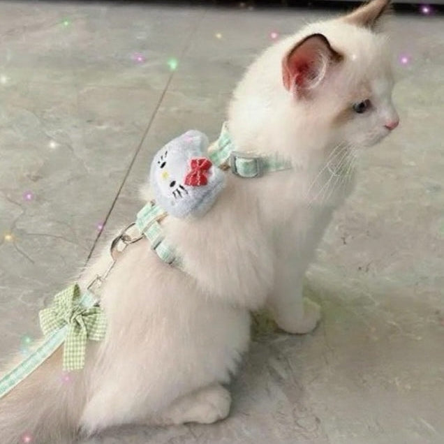 Puppy and cat leash