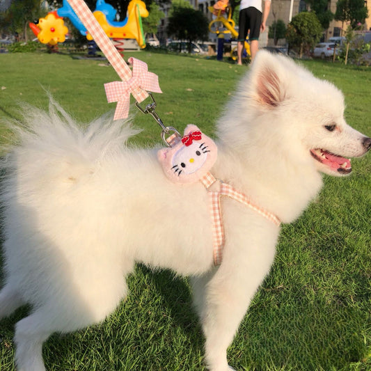 Puppy and cat leash